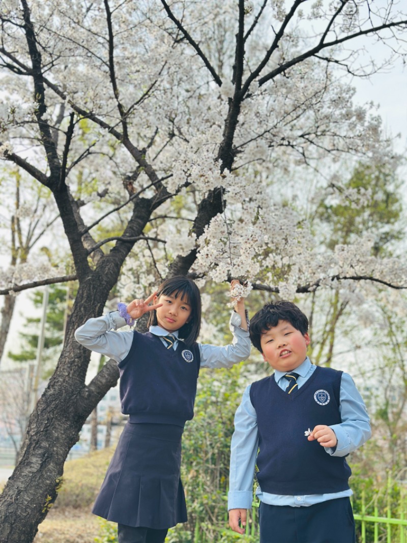 KakaoTalk_20250506_193735751.jpg