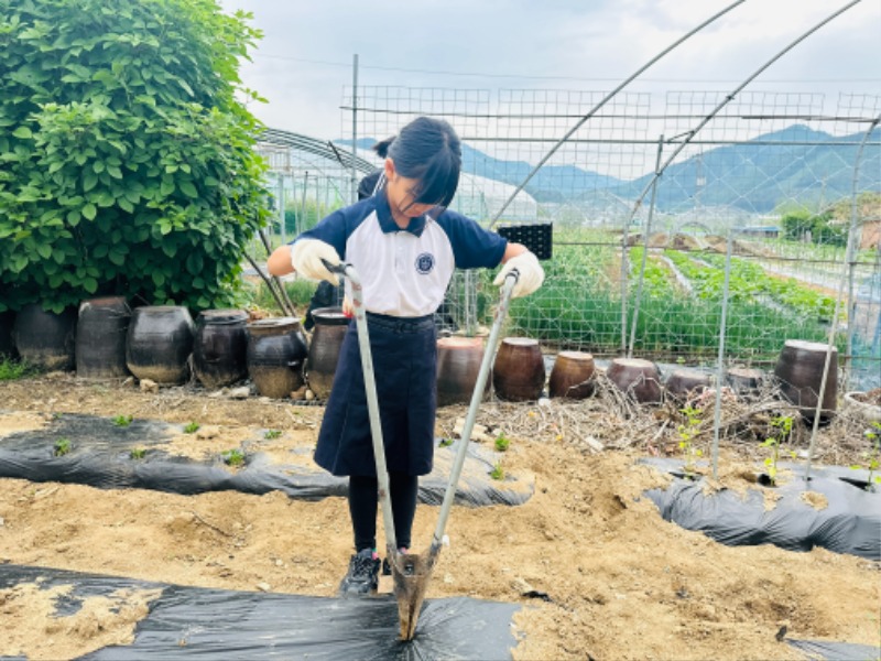KakaoTalk_20250519_113044878_02.jpg